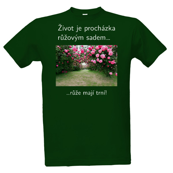 Život je procházka růžovým sadem…